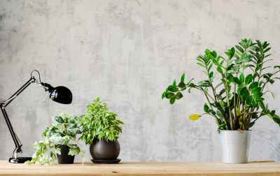 Kitchen Wallpaper Installation in Kansas City, MO