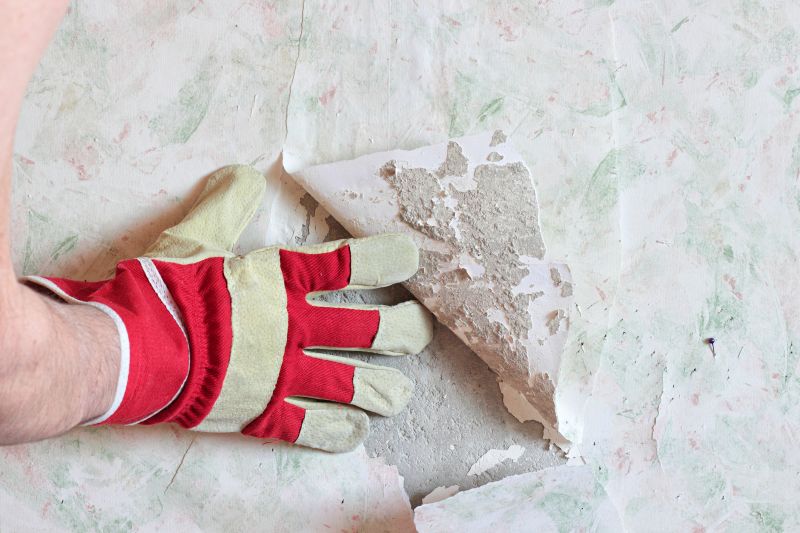 Wallpaper Removal Service in Olathe, KS